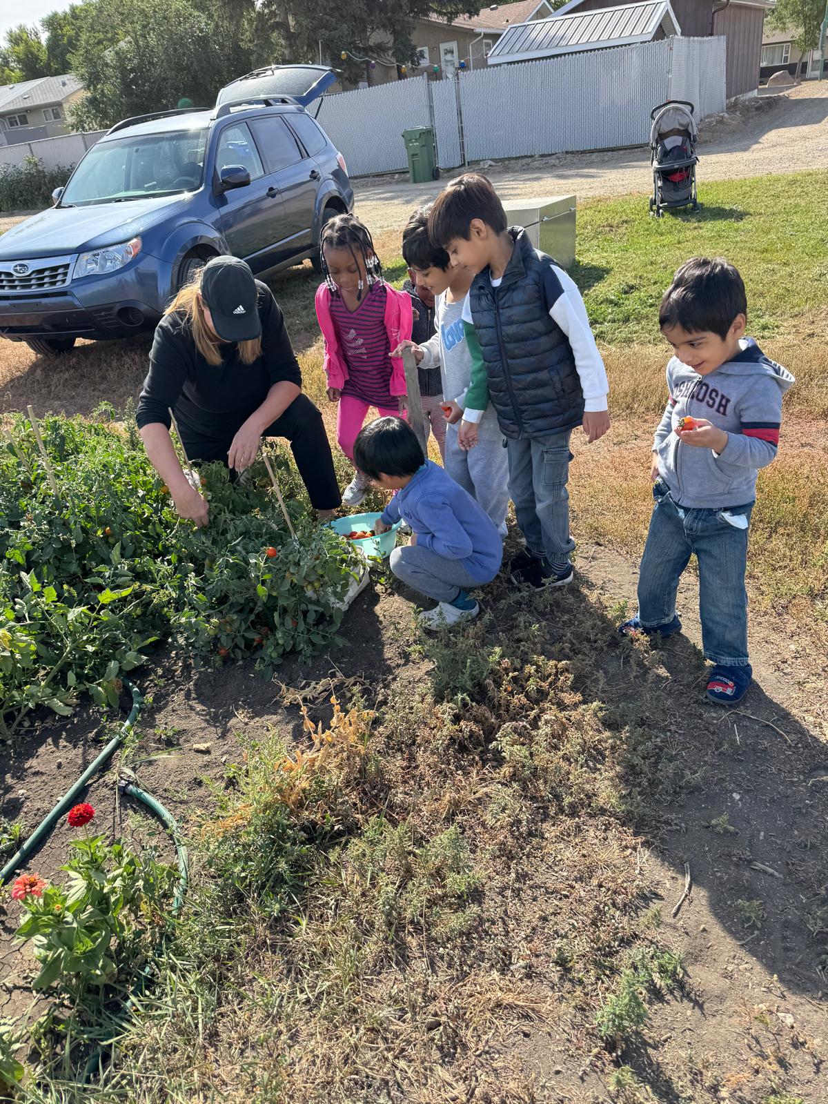 Gardening activities for children in Regina daycare